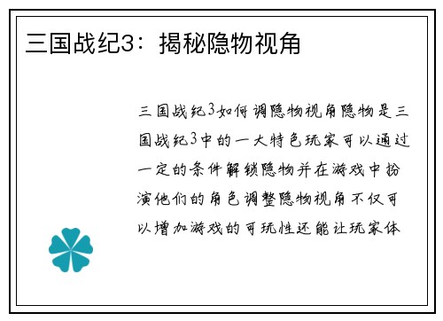 三国战纪3：揭秘隐物视角